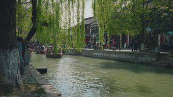 江南水乡视频素材
