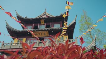 中国文化高清视频免费下载视频素材