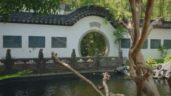 苏州园林下雨高清视频视频素材视频素材