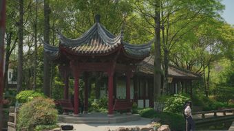 tea house视频素材