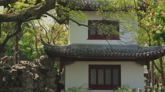 苏州园林下雨高清视频视频素材视频素材