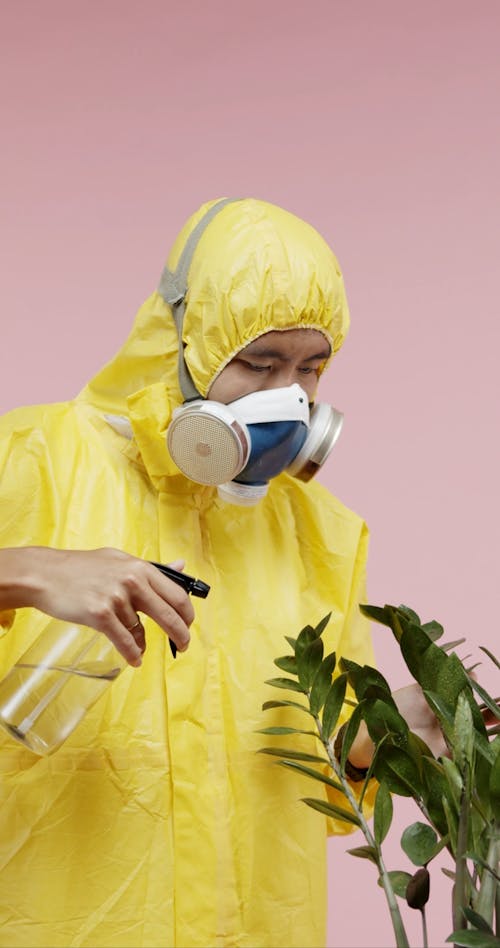 A Man In Protective Suit Spraying A Plant