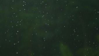 雨水视频视频素材