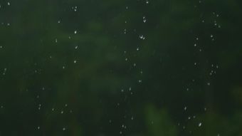雨水视频视频素材