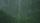 rainy forest