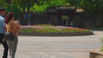 景区出入口免费下载视频素材视频素材