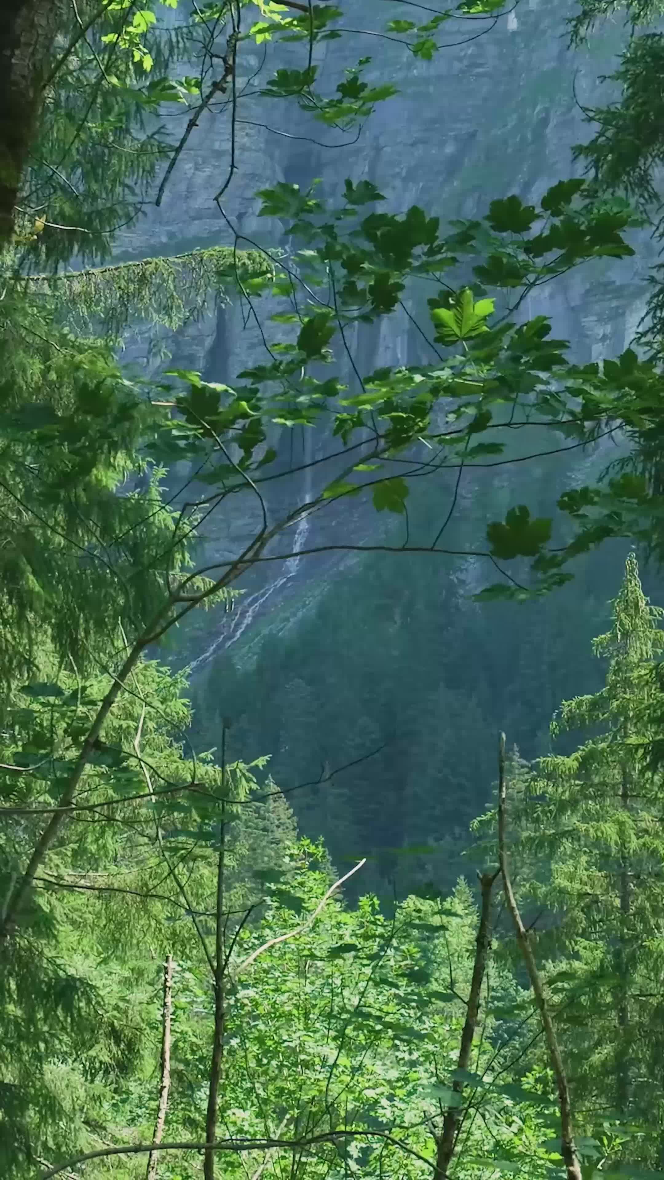 Lush Forest with Scenic Waterfall in Background Free Stock Video ...