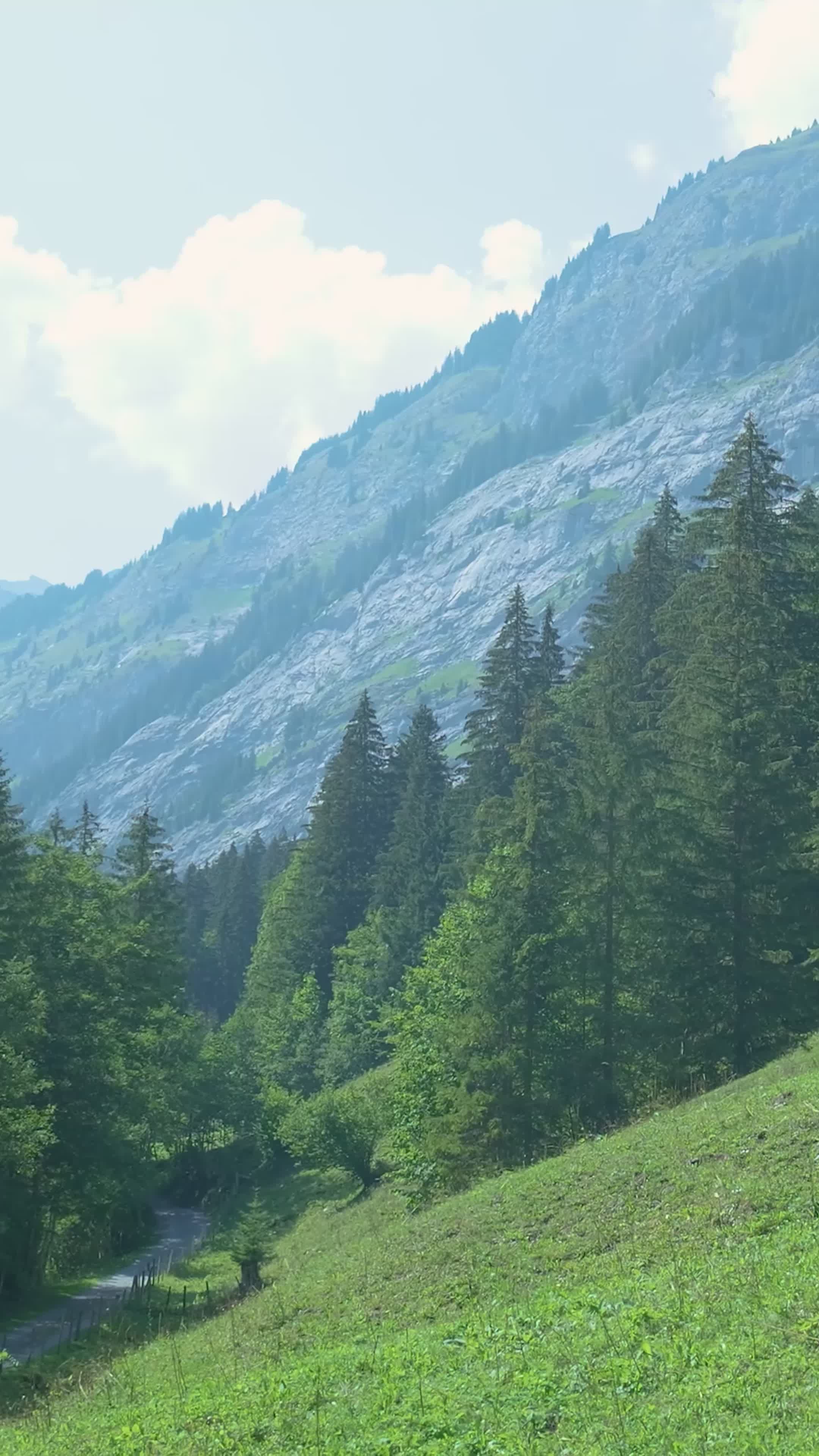 Majestic Mountain Landscape with Lush Trees Free Stock Video Footage ...