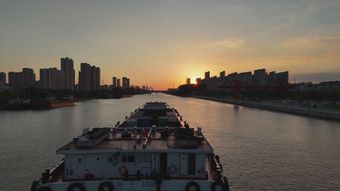 伊春免费下载免费下载视频素材视频素材视频素材