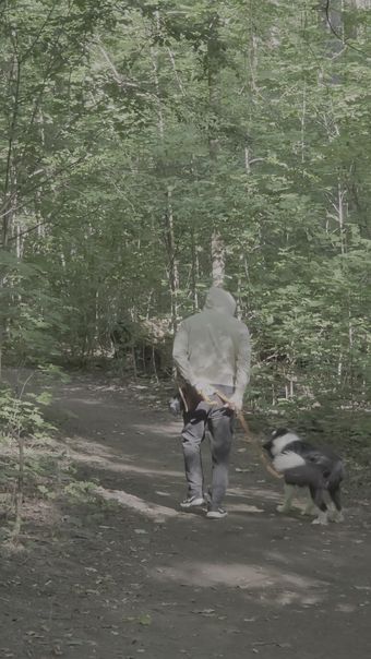 熊出没视频素材