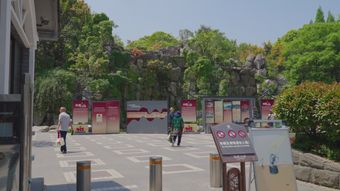 景区出入口高清视频视频素材