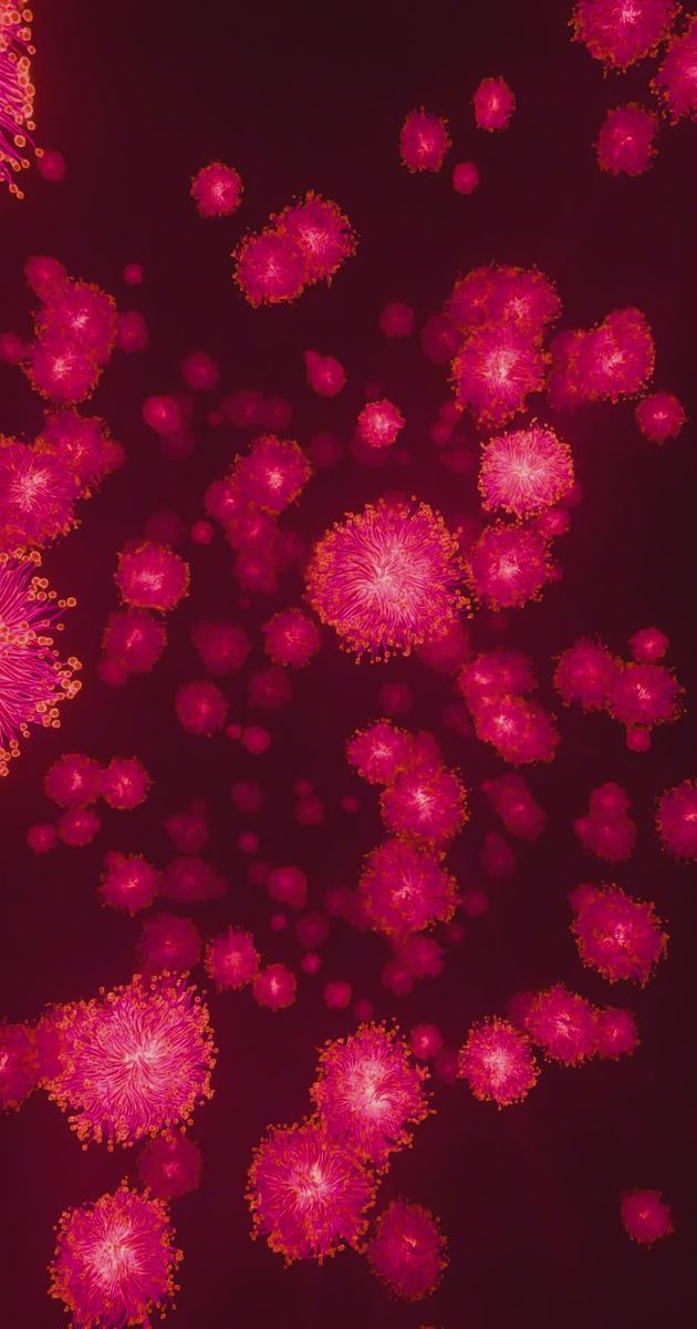 Generative art in motion, made entirely by AI ๐๏ธ