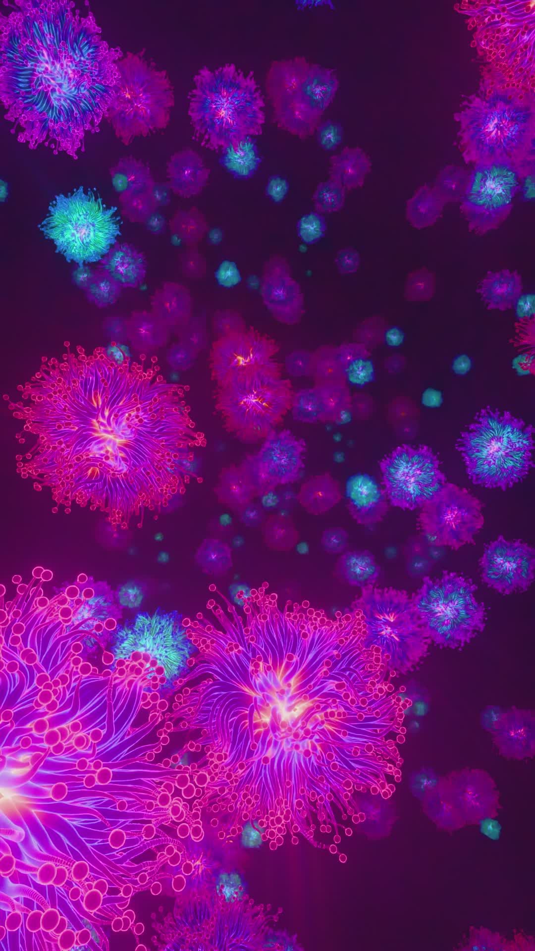 Vibrant Abstract Fireworks Celebration Display Free Stock Video Footage ...