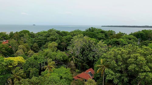 Drone Footage Houses Near a Beach