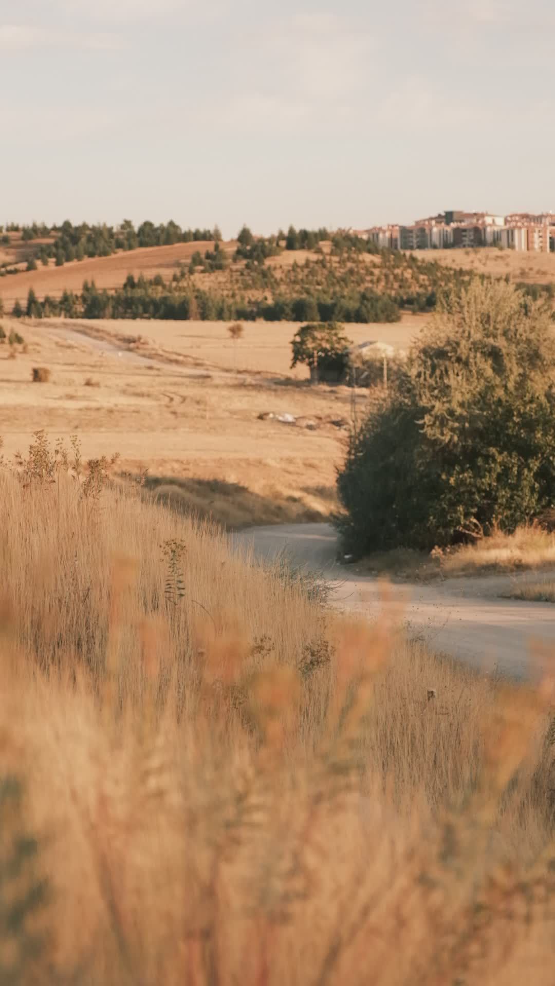 Strada Rurale Panoramica Con Un'auto Rossa In Movimento · Video gratuito