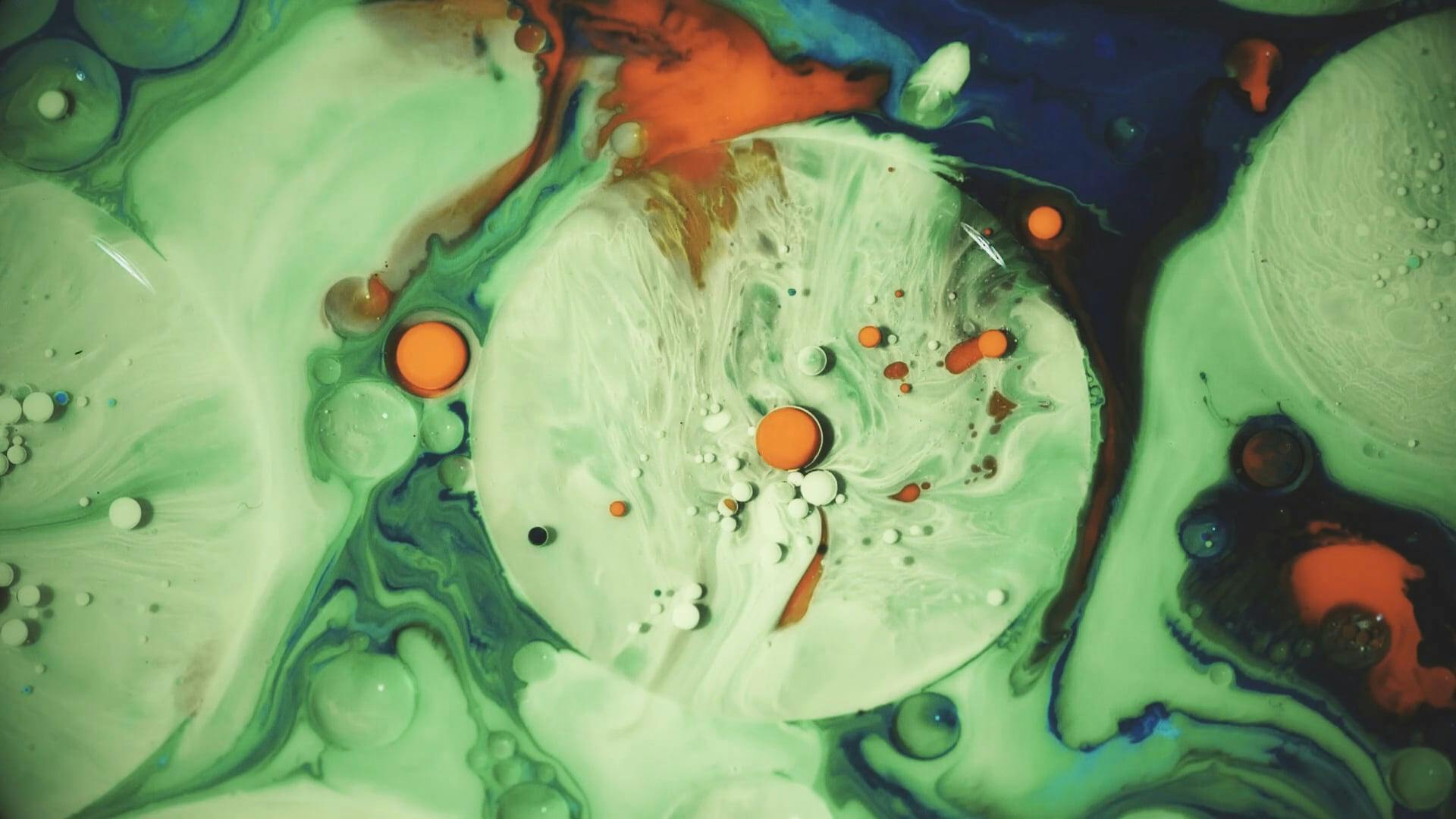 Video by StefWithAnF