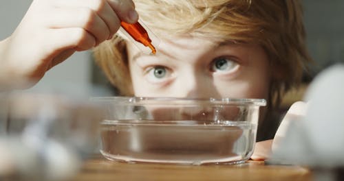A Boy Mixing Droplets Of Orange Food  Coloring Over A Bowl Of Water