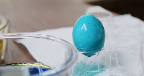 Drying A Colored Egg Over A Tray With Paper Towel Under