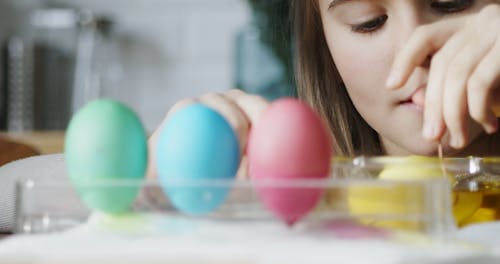 Drying Soaked Eggs From Liquid Coloring Over An Egg Tray