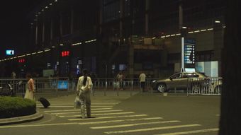 人和宠物视频素材
