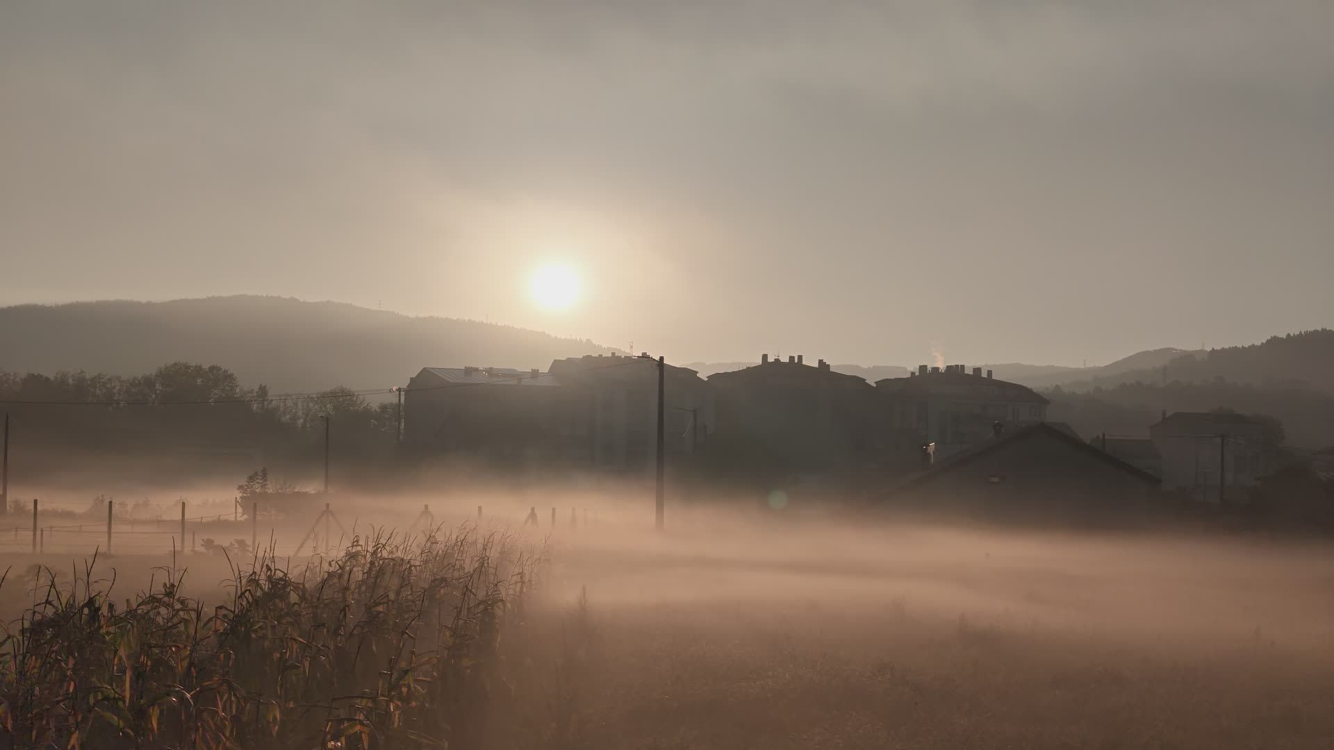 Misty Sunrise Over Serene Countryside Landscape Free Stock Video ...