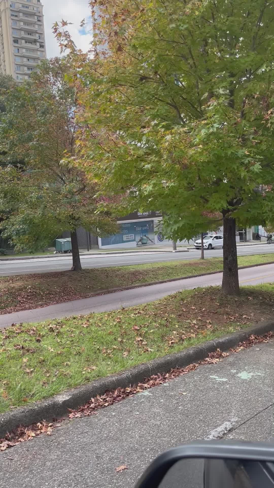 Urban Autumn Street Scene with Commuter Train Free Stock Video Footage ...