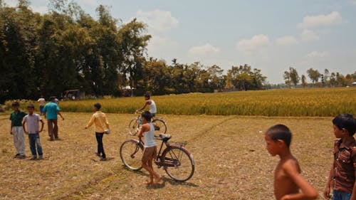 Young Boys in the Farm Field