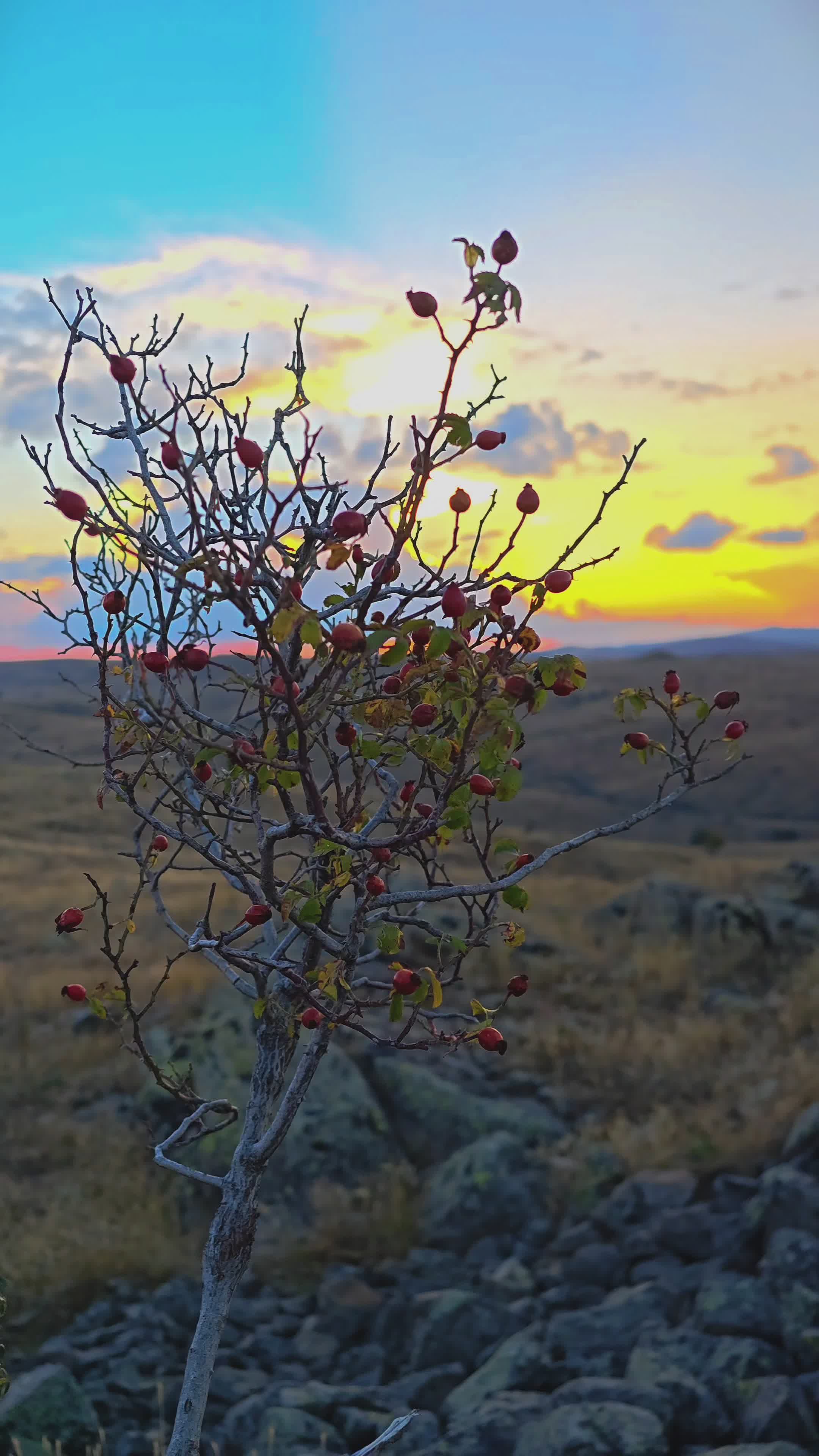 Serene Sunset Over Rocky Landscape Free Stock Video Footage, Royalty ...