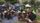 activism