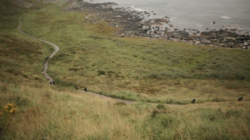 People Walking on a Path near a Rocky Beach