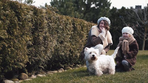 Mother And Child Spending Time Together With Their Dog