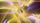 photoshop background