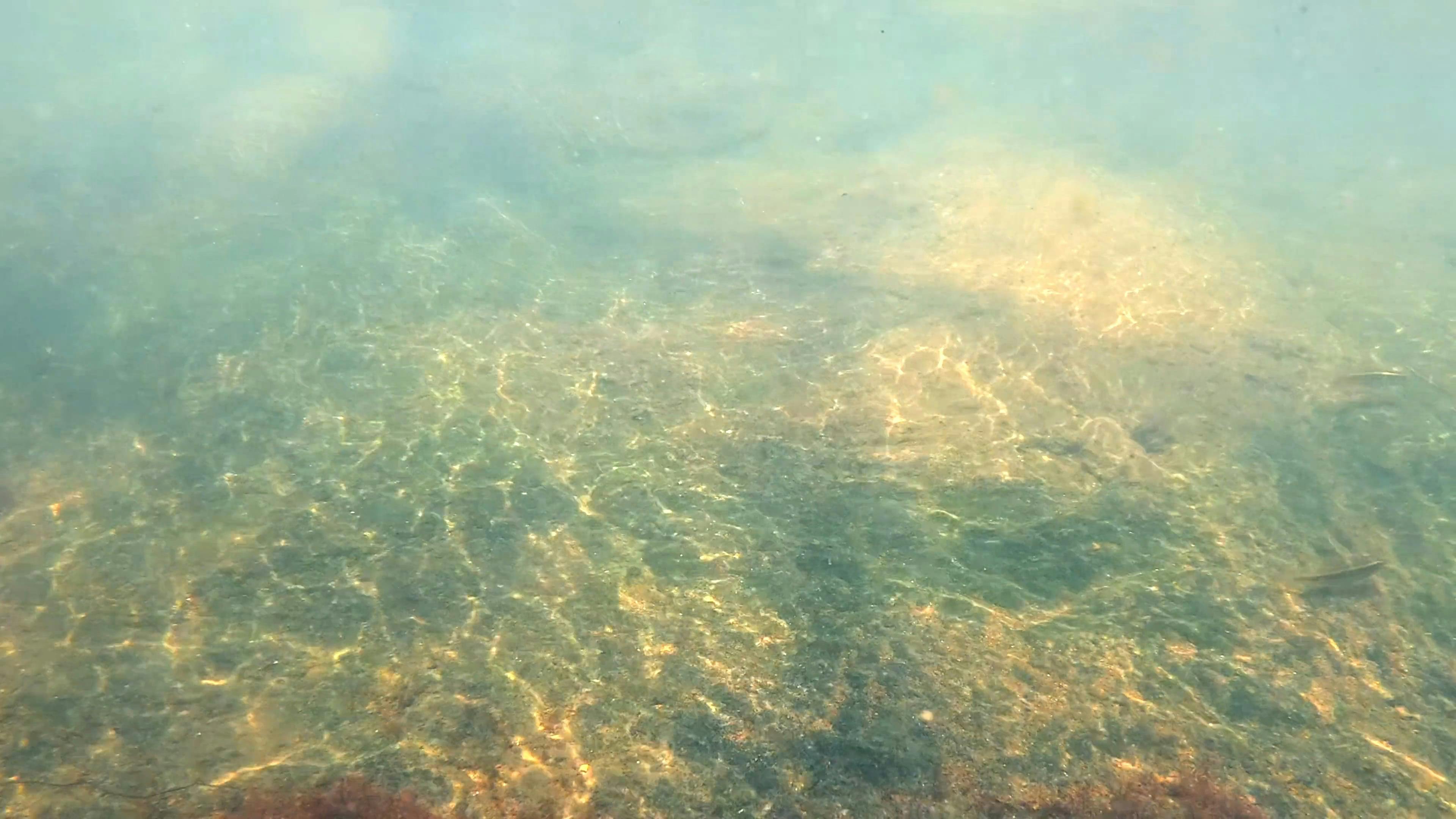 Video Footage Of The River Underwater · Free Stock Video