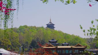 陈家洞景区免费下载高清视频视频素材