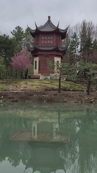 tea house视频素材