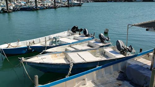 Boats Docked in a Harbour