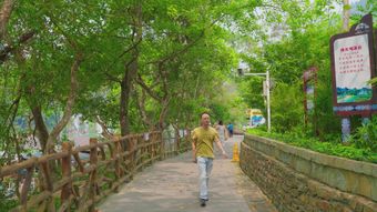 陈家洞景区免费下载视频素材视频素材