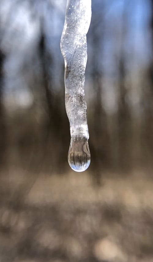 Close-up Video of a Melting ice