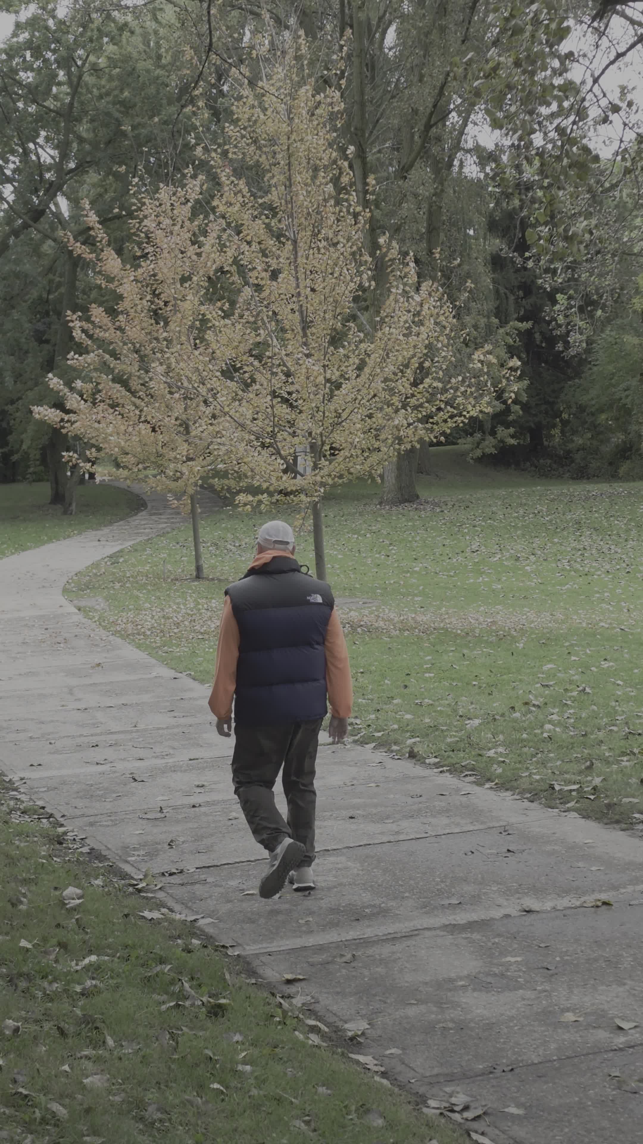 Solitary Stroll in Leafy Park Pathway Free Stock Video Footage, Royalty ...