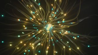 神经免费下载视频素材视频素材