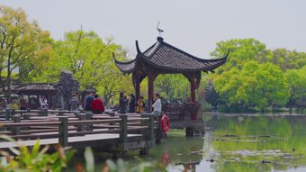 苏州园免费下载视频素材视频素材