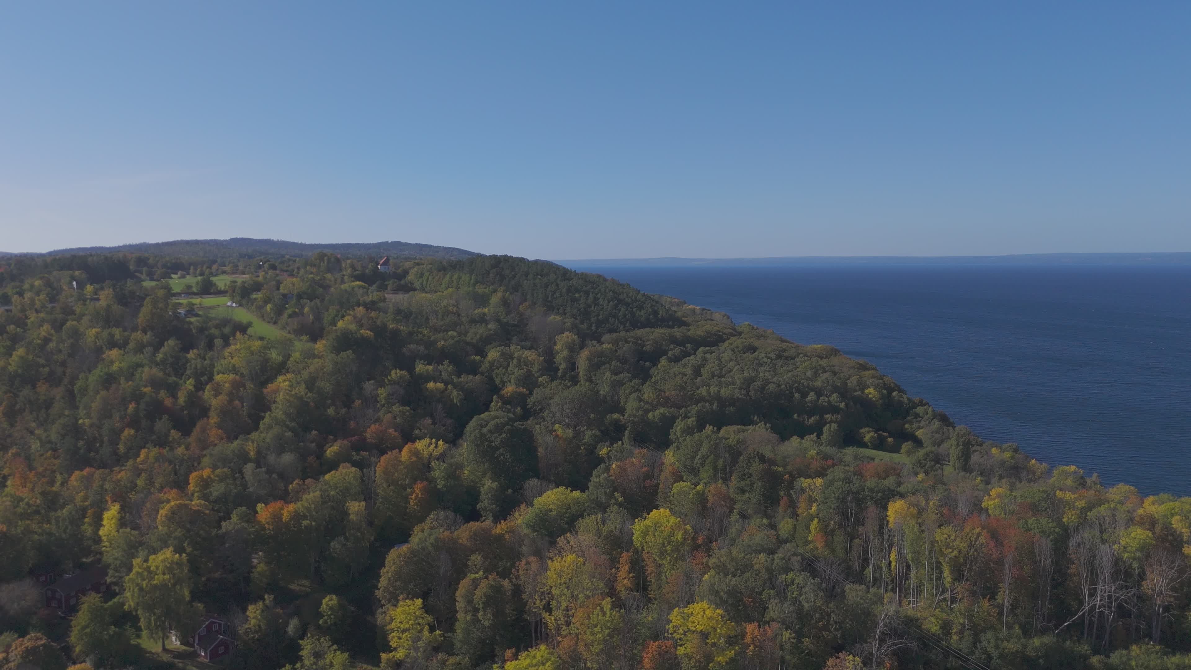 Aerial View of Coastal Forest Landscape in Fall Free Stock Video ...
