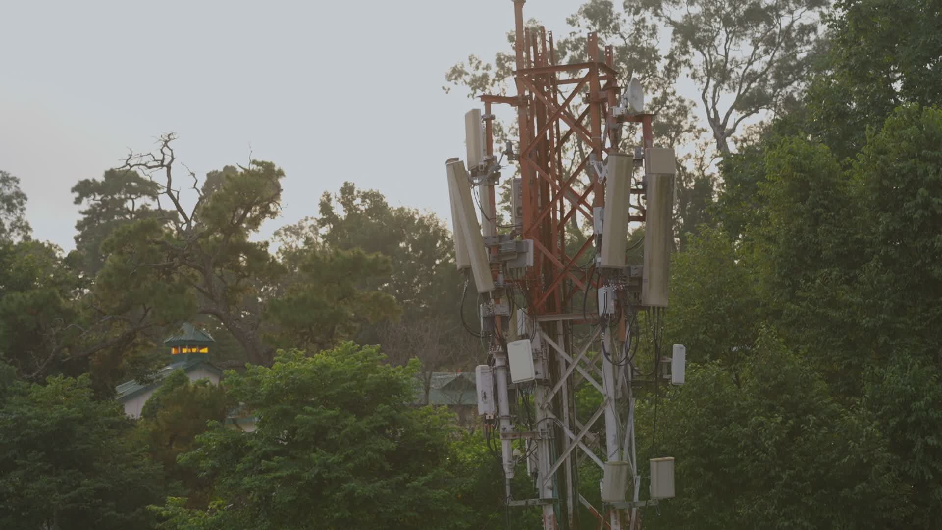 Cell Tower Amidst Greenery at Sunset Free Stock Video Footage, Royalty ...