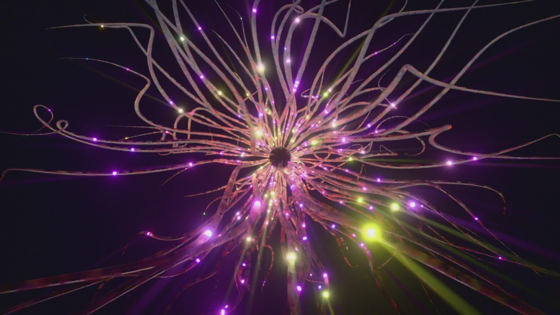 Vibrant Abstract Digital Light Burst Animation Free Stock Video Footage ...