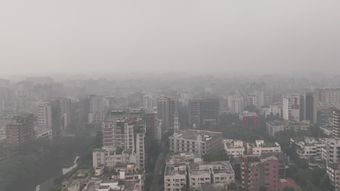美女傍晚视频高清视频高清视频高清视频视频素材