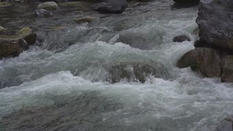 数据流免费下载视频素材