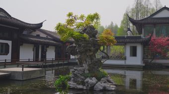 苏州园林下雨高清视频视频素材视频素材