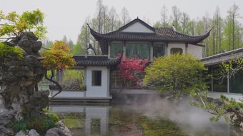 江南小院视频素材