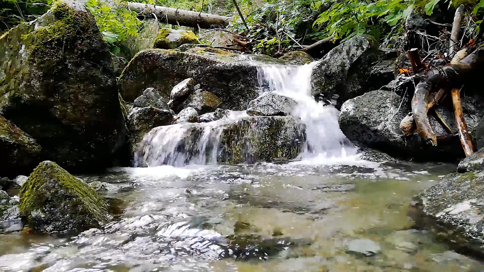 Close-Up Shot of a Cascading Water Free Stock Video Footage, Royalty ...