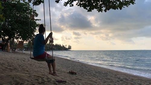 Woman Sitting On A Swing Hanging On A Tree Near Seashore